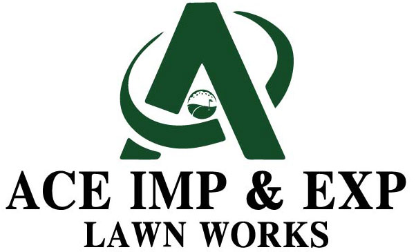 b481b8dbb9eef7353ececb777080d36